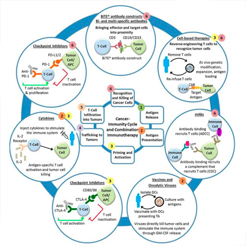 immunology