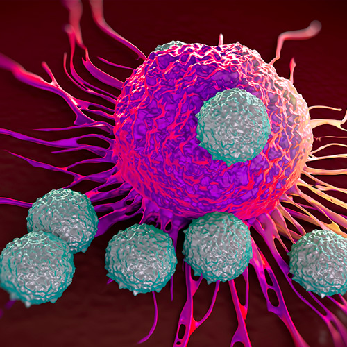 immune cells