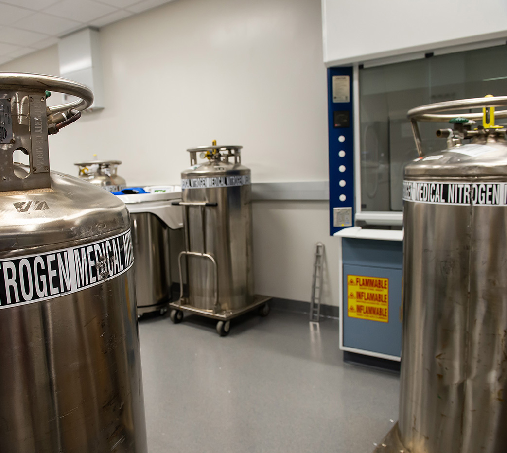 Lab facility from Contract Technology Development and Manufacturing Organization OrganaBio