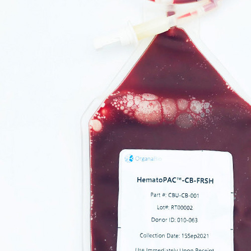 cord blood