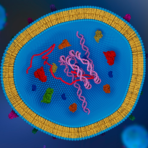 exosomes square