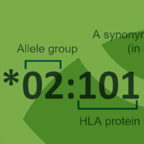 hla square