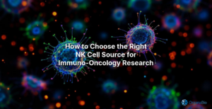nk cell source featured